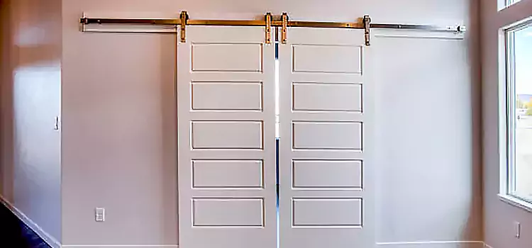 Glass Barn Door with Installation Hardware Kit Arroyo Grande